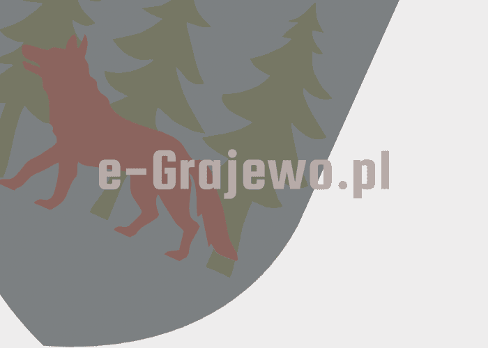 Grajewo ogłoszenia: Sprzedam deski świerkowe 3,2 grubość długość od 4,7m.do 8m